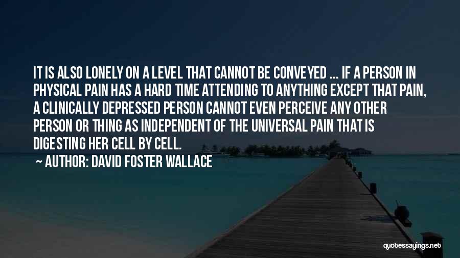 David Foster Wallace Quotes: It Is Also Lonely On A Level That Cannot Be Conveyed ... If A Person In Physical Pain Has A