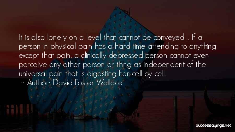 David Foster Wallace Quotes: It Is Also Lonely On A Level That Cannot Be Conveyed ... If A Person In Physical Pain Has A