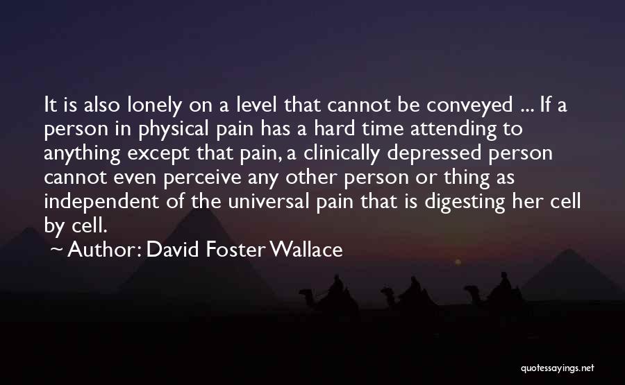 David Foster Wallace Quotes: It Is Also Lonely On A Level That Cannot Be Conveyed ... If A Person In Physical Pain Has A