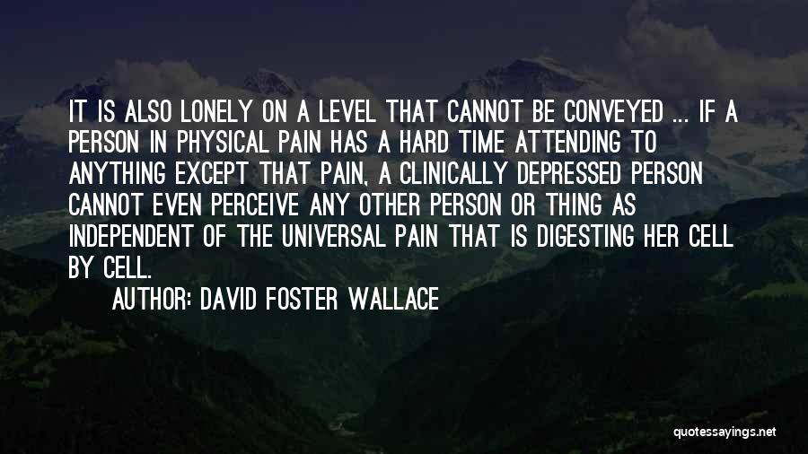 David Foster Wallace Quotes: It Is Also Lonely On A Level That Cannot Be Conveyed ... If A Person In Physical Pain Has A