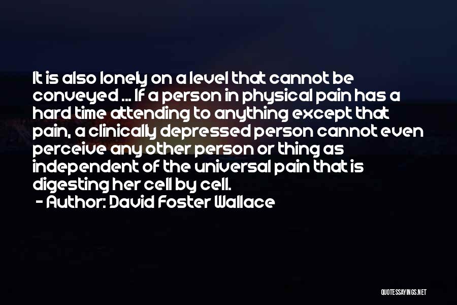 David Foster Wallace Quotes: It Is Also Lonely On A Level That Cannot Be Conveyed ... If A Person In Physical Pain Has A