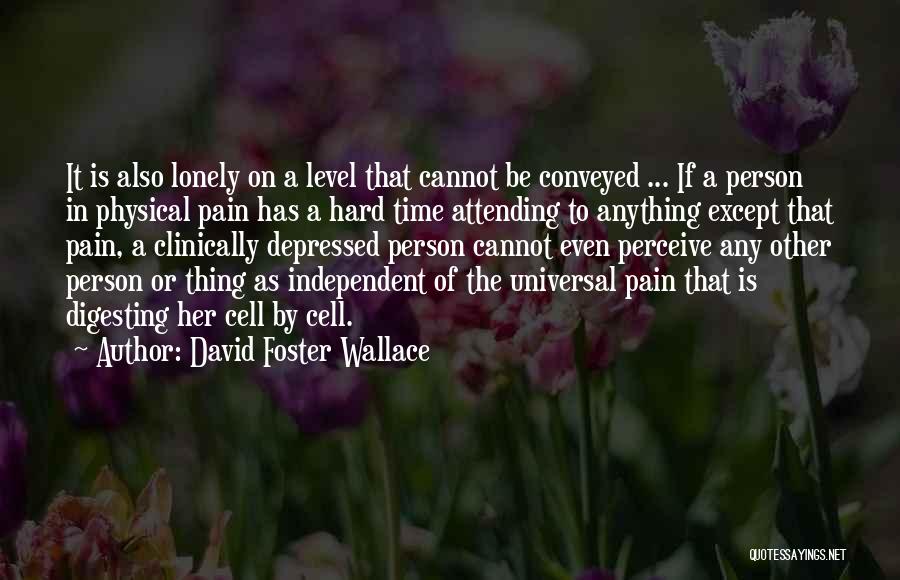 David Foster Wallace Quotes: It Is Also Lonely On A Level That Cannot Be Conveyed ... If A Person In Physical Pain Has A