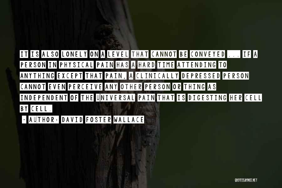 David Foster Wallace Quotes: It Is Also Lonely On A Level That Cannot Be Conveyed ... If A Person In Physical Pain Has A