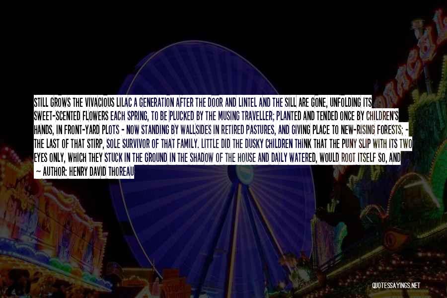 Henry David Thoreau Quotes: Still Grows The Vivacious Lilac A Generation After The Door And Lintel And The Sill Are Gone, Unfolding Its Sweet-scented