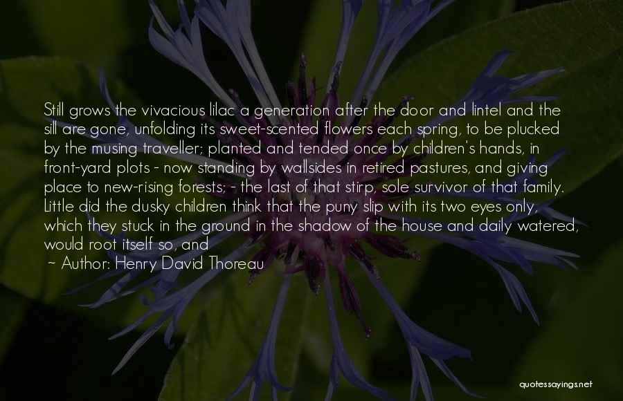 Henry David Thoreau Quotes: Still Grows The Vivacious Lilac A Generation After The Door And Lintel And The Sill Are Gone, Unfolding Its Sweet-scented