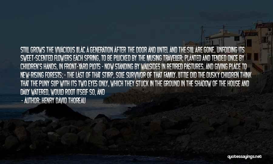 Henry David Thoreau Quotes: Still Grows The Vivacious Lilac A Generation After The Door And Lintel And The Sill Are Gone, Unfolding Its Sweet-scented