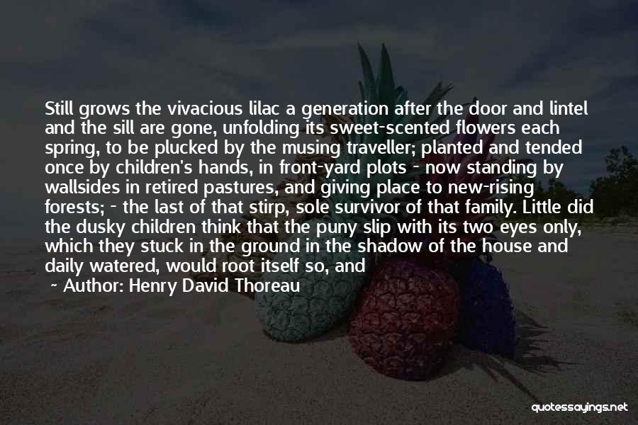 Henry David Thoreau Quotes: Still Grows The Vivacious Lilac A Generation After The Door And Lintel And The Sill Are Gone, Unfolding Its Sweet-scented