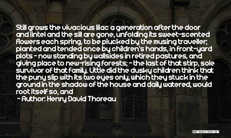 Henry David Thoreau Quotes: Still Grows The Vivacious Lilac A Generation After The Door And Lintel And The Sill Are Gone, Unfolding Its Sweet-scented