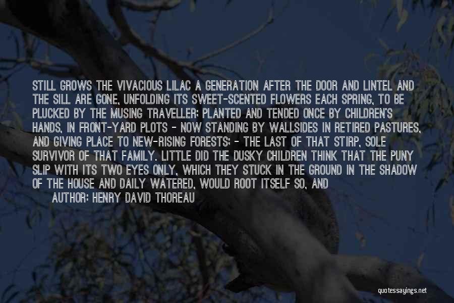 Henry David Thoreau Quotes: Still Grows The Vivacious Lilac A Generation After The Door And Lintel And The Sill Are Gone, Unfolding Its Sweet-scented