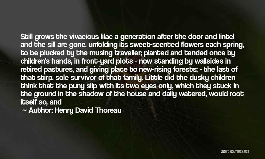 Henry David Thoreau Quotes: Still Grows The Vivacious Lilac A Generation After The Door And Lintel And The Sill Are Gone, Unfolding Its Sweet-scented