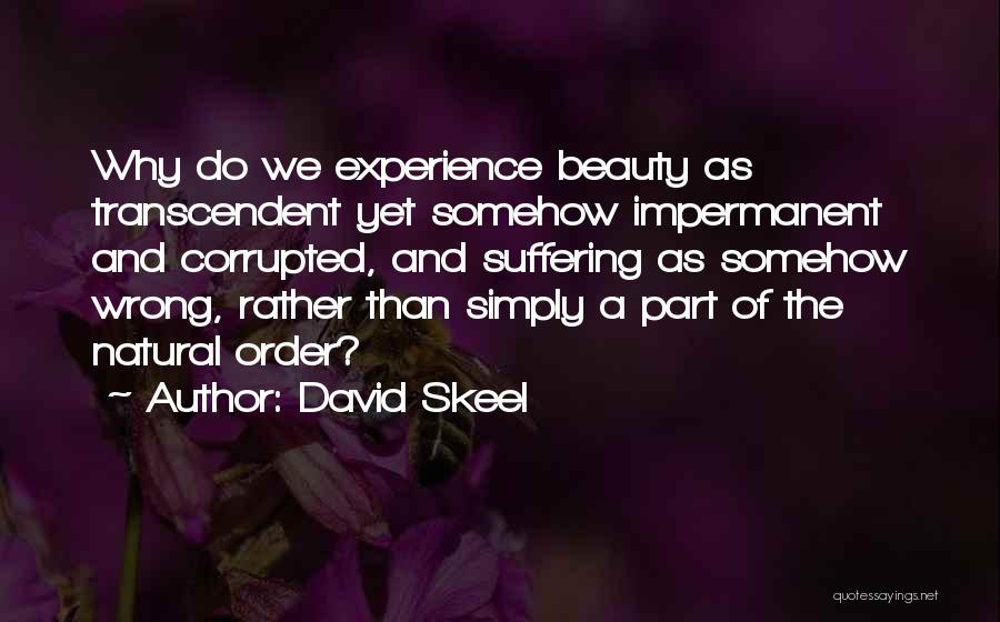 David Skeel Quotes: Why Do We Experience Beauty As Transcendent Yet Somehow Impermanent And Corrupted, And Suffering As Somehow Wrong, Rather Than Simply
