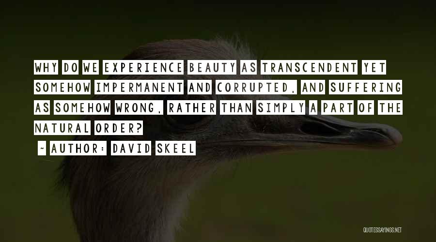 David Skeel Quotes: Why Do We Experience Beauty As Transcendent Yet Somehow Impermanent And Corrupted, And Suffering As Somehow Wrong, Rather Than Simply