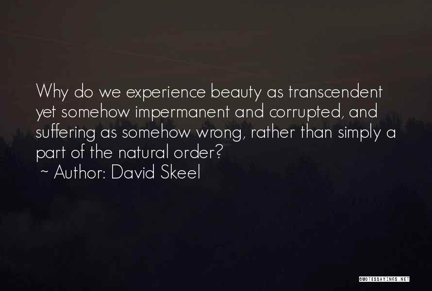 David Skeel Quotes: Why Do We Experience Beauty As Transcendent Yet Somehow Impermanent And Corrupted, And Suffering As Somehow Wrong, Rather Than Simply