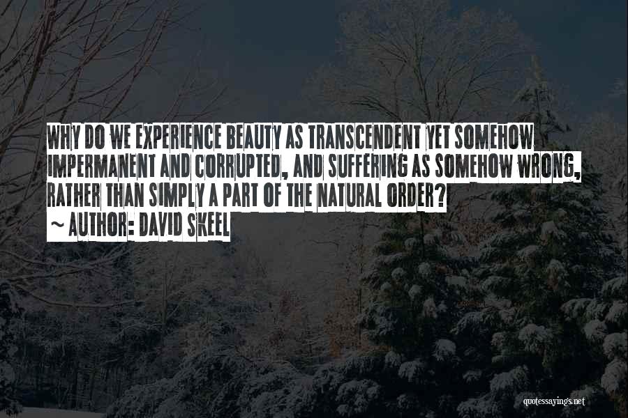 David Skeel Quotes: Why Do We Experience Beauty As Transcendent Yet Somehow Impermanent And Corrupted, And Suffering As Somehow Wrong, Rather Than Simply