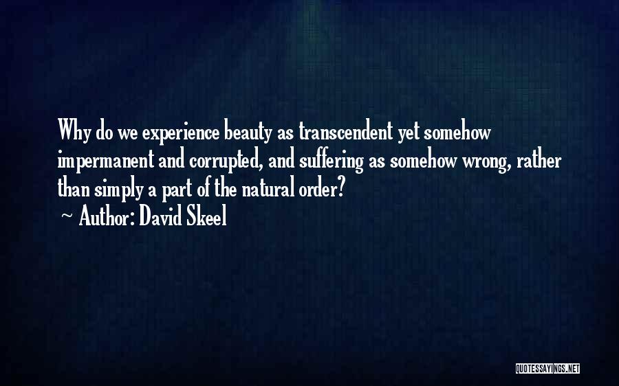 David Skeel Quotes: Why Do We Experience Beauty As Transcendent Yet Somehow Impermanent And Corrupted, And Suffering As Somehow Wrong, Rather Than Simply