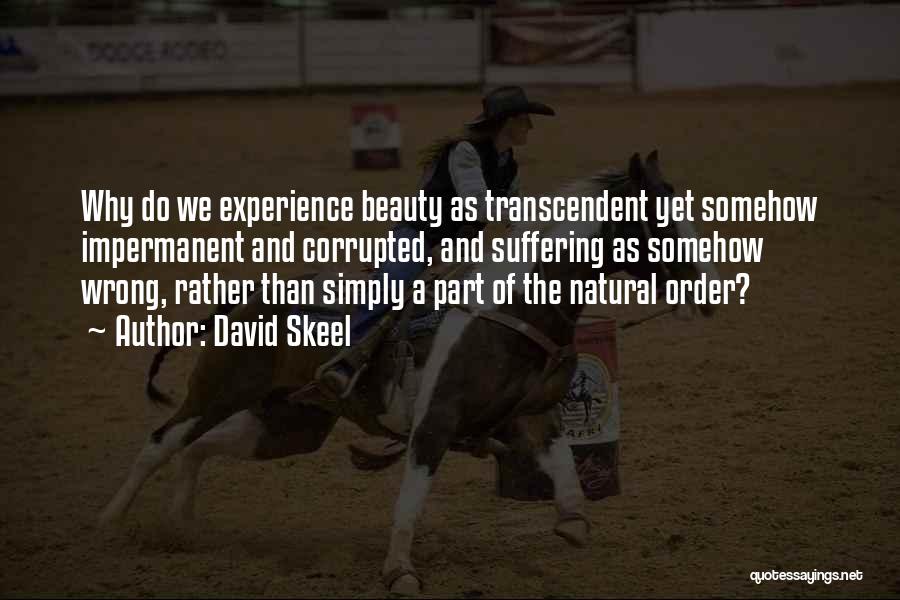 David Skeel Quotes: Why Do We Experience Beauty As Transcendent Yet Somehow Impermanent And Corrupted, And Suffering As Somehow Wrong, Rather Than Simply