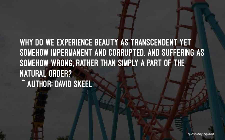 David Skeel Quotes: Why Do We Experience Beauty As Transcendent Yet Somehow Impermanent And Corrupted, And Suffering As Somehow Wrong, Rather Than Simply