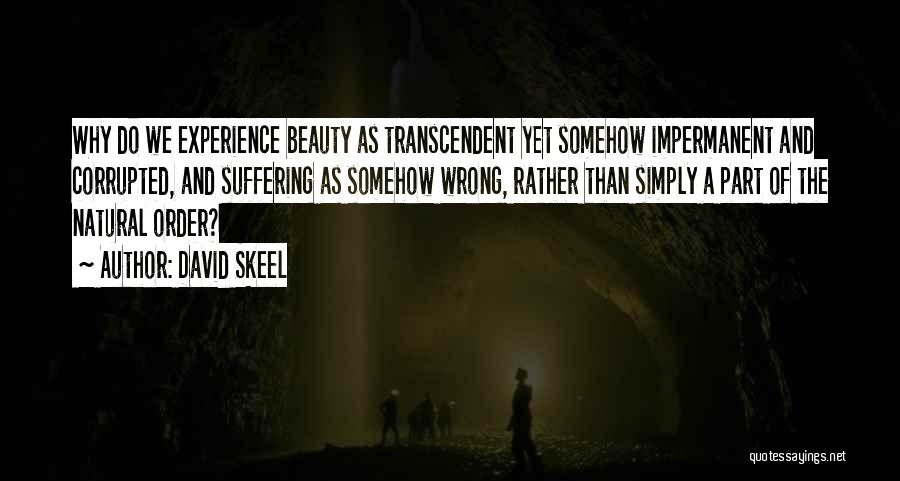 David Skeel Quotes: Why Do We Experience Beauty As Transcendent Yet Somehow Impermanent And Corrupted, And Suffering As Somehow Wrong, Rather Than Simply