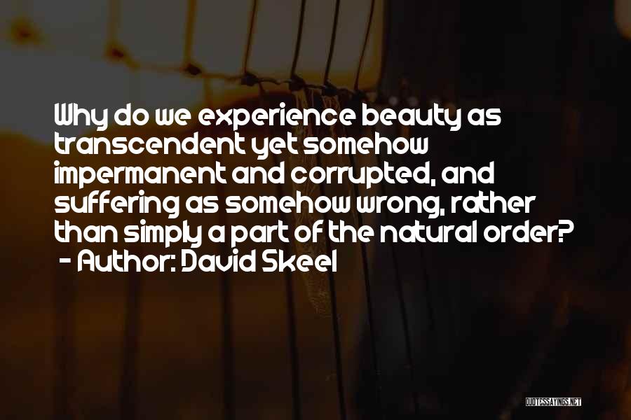 David Skeel Quotes: Why Do We Experience Beauty As Transcendent Yet Somehow Impermanent And Corrupted, And Suffering As Somehow Wrong, Rather Than Simply