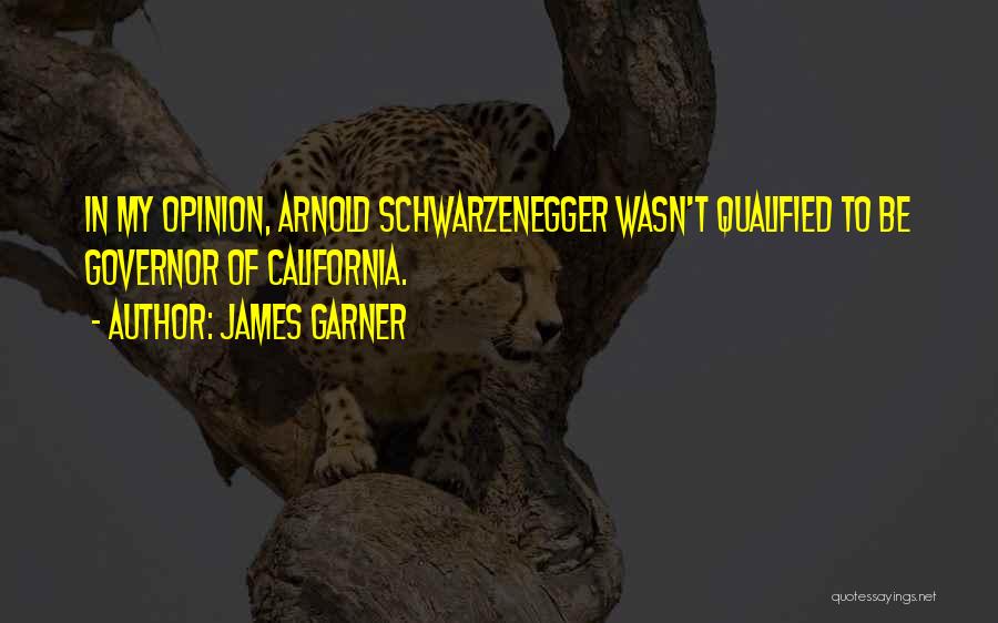 James Garner Quotes: In My Opinion, Arnold Schwarzenegger Wasn't Qualified To Be Governor Of California.