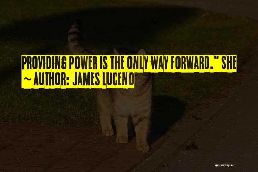 James Luceno Quotes: Providing Power Is The Only Way Forward. She