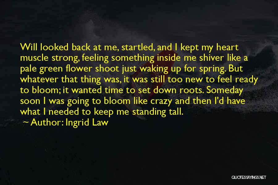 Ingrid Law Quotes: Will Looked Back At Me, Startled, And I Kept My Heart Muscle Strong, Feeling Something Inside Me Shiver Like A