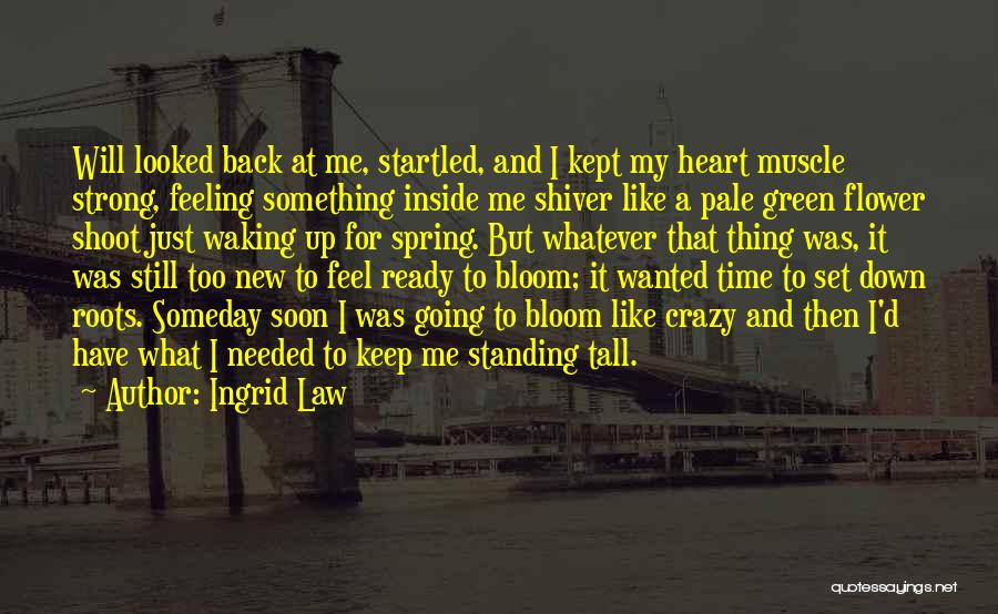 Ingrid Law Quotes: Will Looked Back At Me, Startled, And I Kept My Heart Muscle Strong, Feeling Something Inside Me Shiver Like A