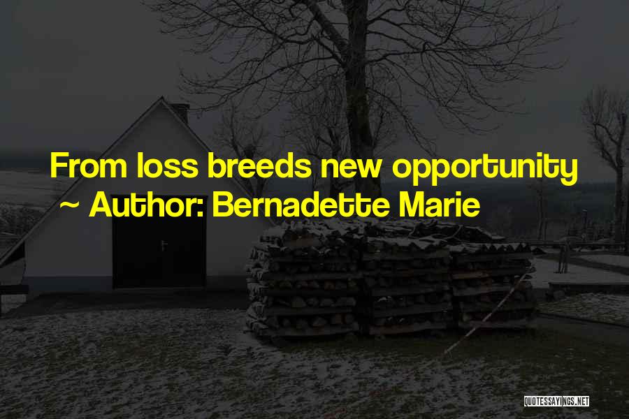Bernadette Marie Quotes: From Loss Breeds New Opportunity