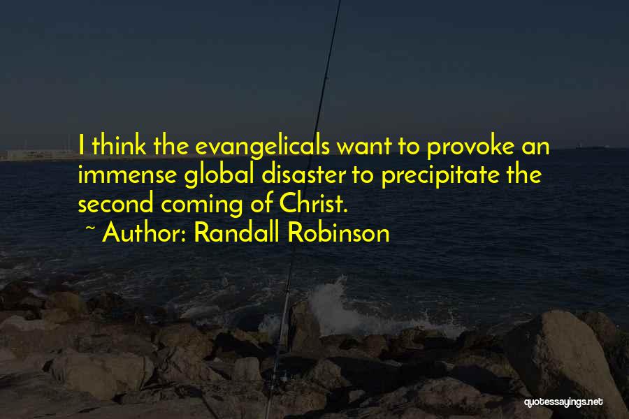 Randall Robinson Quotes: I Think The Evangelicals Want To Provoke An Immense Global Disaster To Precipitate The Second Coming Of Christ.