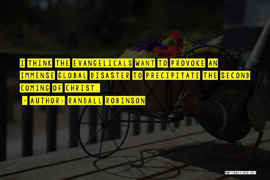 Randall Robinson Quotes: I Think The Evangelicals Want To Provoke An Immense Global Disaster To Precipitate The Second Coming Of Christ.