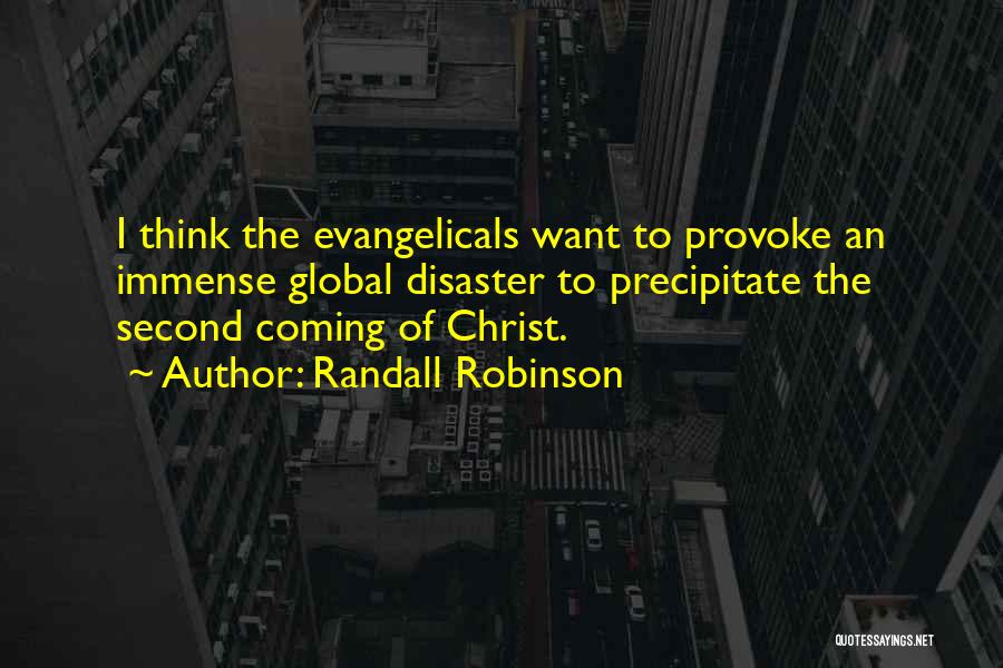 Randall Robinson Quotes: I Think The Evangelicals Want To Provoke An Immense Global Disaster To Precipitate The Second Coming Of Christ.