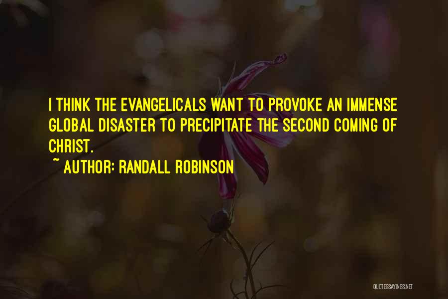 Randall Robinson Quotes: I Think The Evangelicals Want To Provoke An Immense Global Disaster To Precipitate The Second Coming Of Christ.