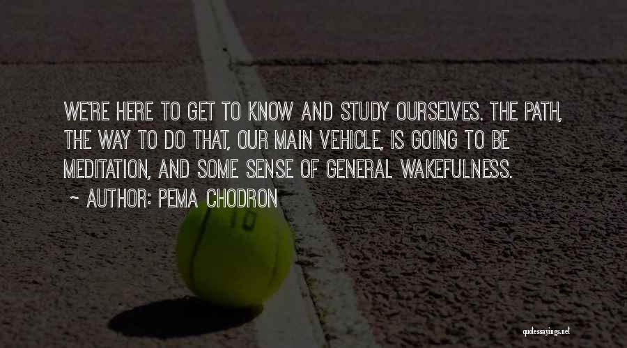 Pema Chodron Quotes: We're Here To Get To Know And Study Ourselves. The Path, The Way To Do That, Our Main Vehicle, Is