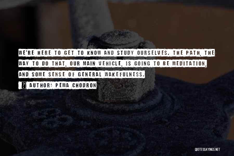 Pema Chodron Quotes: We're Here To Get To Know And Study Ourselves. The Path, The Way To Do That, Our Main Vehicle, Is