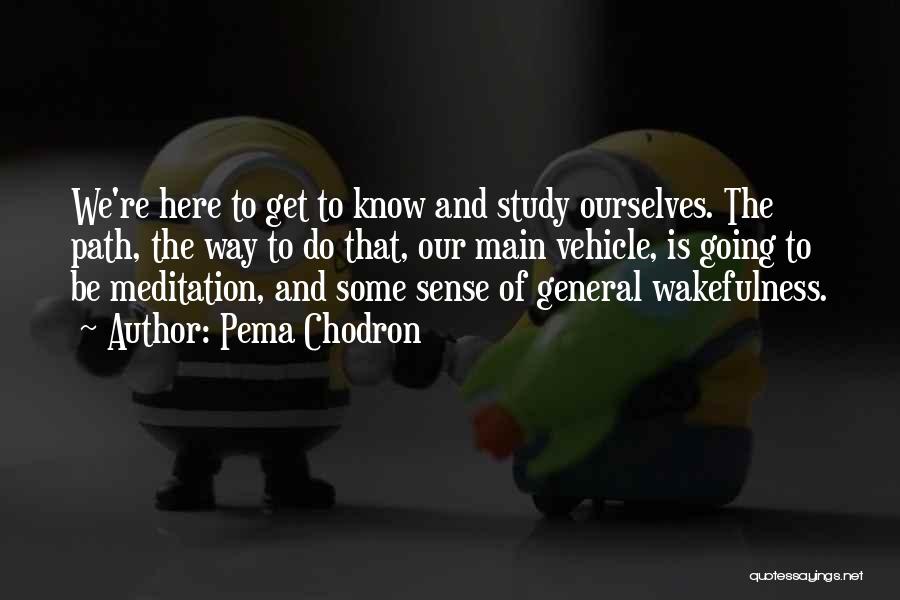 Pema Chodron Quotes: We're Here To Get To Know And Study Ourselves. The Path, The Way To Do That, Our Main Vehicle, Is