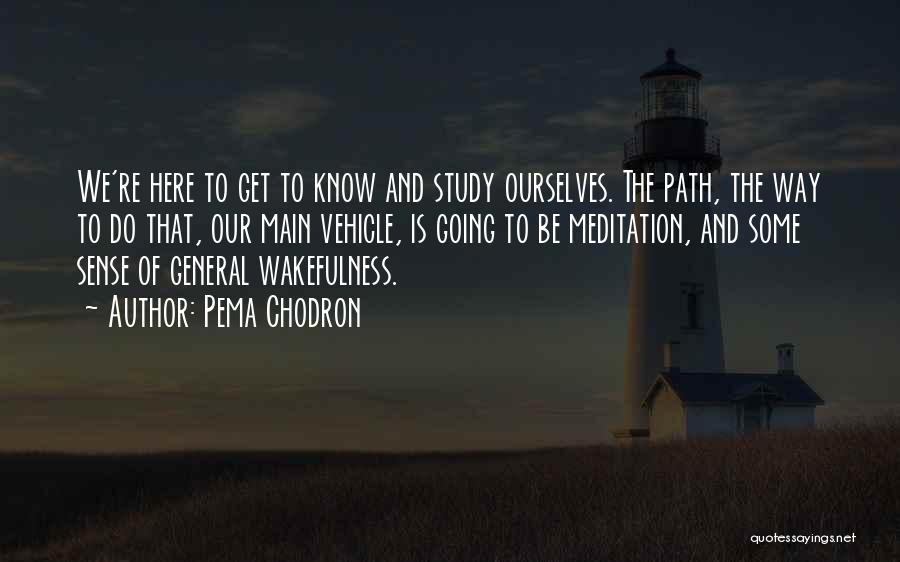 Pema Chodron Quotes: We're Here To Get To Know And Study Ourselves. The Path, The Way To Do That, Our Main Vehicle, Is