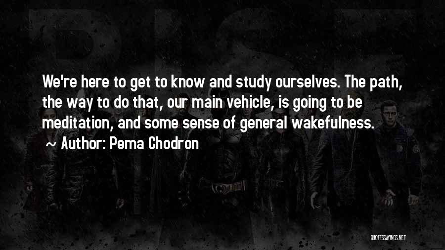 Pema Chodron Quotes: We're Here To Get To Know And Study Ourselves. The Path, The Way To Do That, Our Main Vehicle, Is