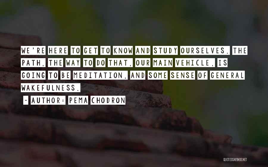 Pema Chodron Quotes: We're Here To Get To Know And Study Ourselves. The Path, The Way To Do That, Our Main Vehicle, Is