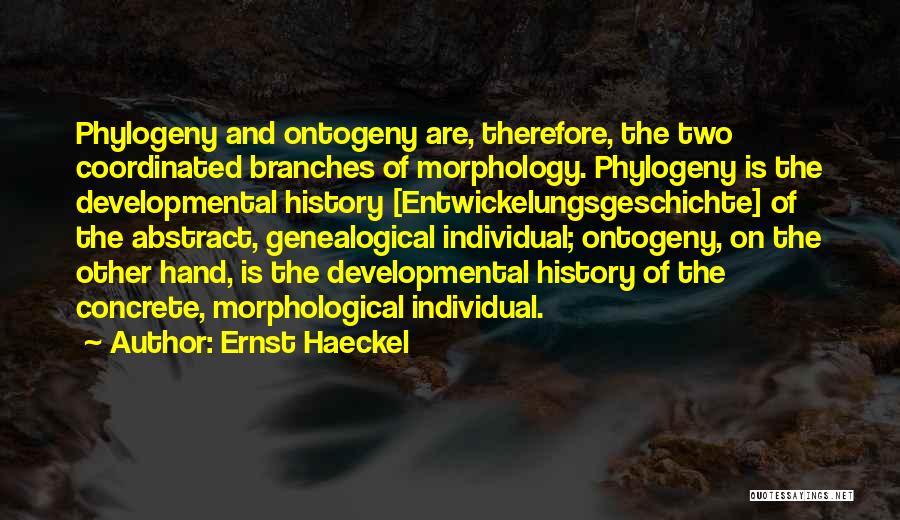 Ernst Haeckel Quotes: Phylogeny And Ontogeny Are, Therefore, The Two Coordinated Branches Of Morphology. Phylogeny Is The Developmental History [entwickelungsgeschichte] Of The Abstract,