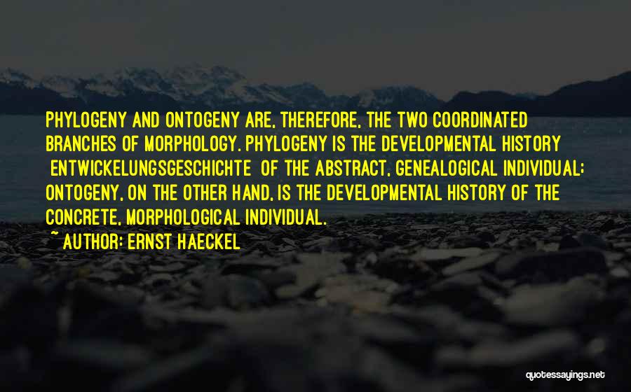 Ernst Haeckel Quotes: Phylogeny And Ontogeny Are, Therefore, The Two Coordinated Branches Of Morphology. Phylogeny Is The Developmental History [entwickelungsgeschichte] Of The Abstract,