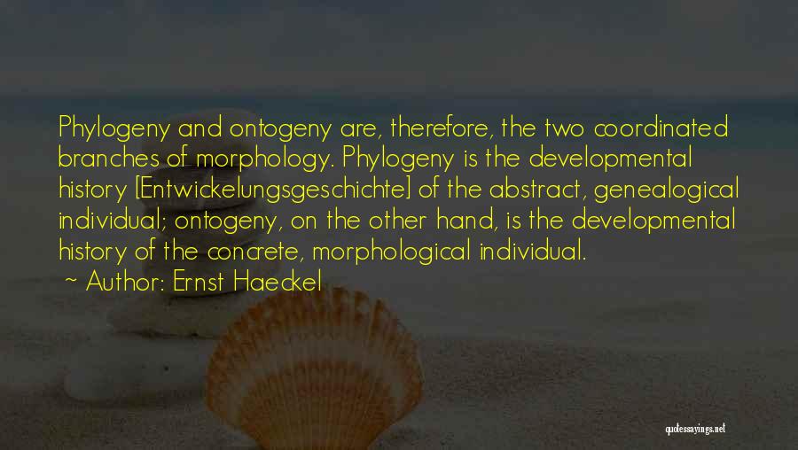Ernst Haeckel Quotes: Phylogeny And Ontogeny Are, Therefore, The Two Coordinated Branches Of Morphology. Phylogeny Is The Developmental History [entwickelungsgeschichte] Of The Abstract,