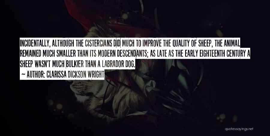 Clarissa Dickson Wright Quotes: Incidentally, Although The Cistercians Did Much To Improve The Quality Of Sheep, The Animal Remained Much Smaller Than Its Modern
