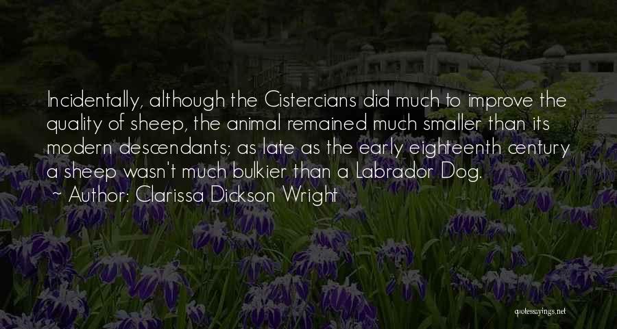 Clarissa Dickson Wright Quotes: Incidentally, Although The Cistercians Did Much To Improve The Quality Of Sheep, The Animal Remained Much Smaller Than Its Modern