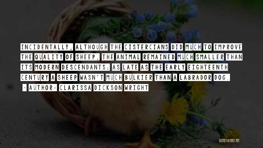 Clarissa Dickson Wright Quotes: Incidentally, Although The Cistercians Did Much To Improve The Quality Of Sheep, The Animal Remained Much Smaller Than Its Modern