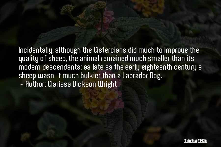 Clarissa Dickson Wright Quotes: Incidentally, Although The Cistercians Did Much To Improve The Quality Of Sheep, The Animal Remained Much Smaller Than Its Modern