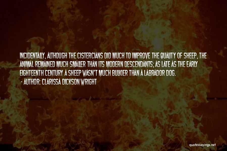 Clarissa Dickson Wright Quotes: Incidentally, Although The Cistercians Did Much To Improve The Quality Of Sheep, The Animal Remained Much Smaller Than Its Modern