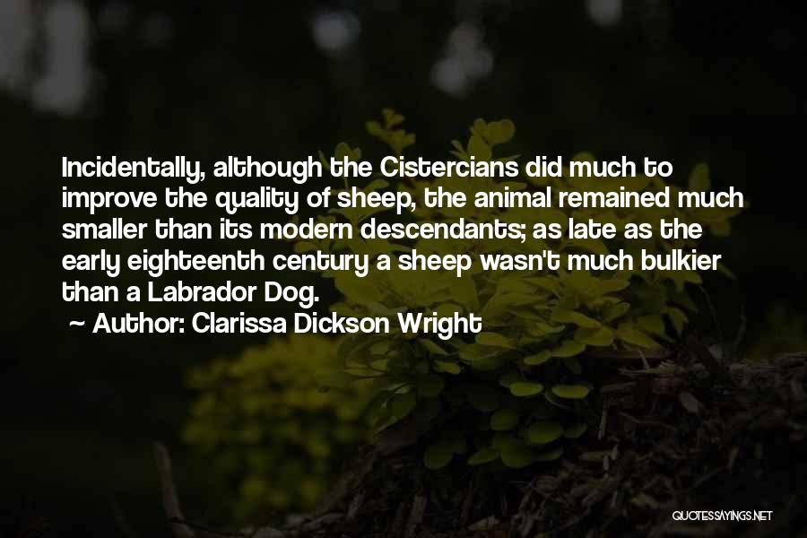 Clarissa Dickson Wright Quotes: Incidentally, Although The Cistercians Did Much To Improve The Quality Of Sheep, The Animal Remained Much Smaller Than Its Modern