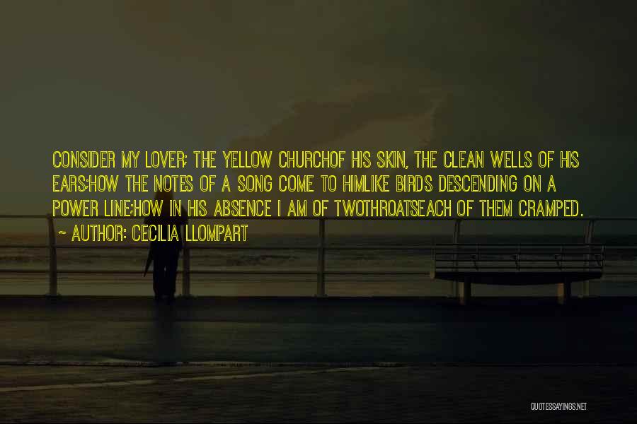 Cecilia Llompart Quotes: Consider My Lover; The Yellow Churchof His Skin, The Clean Wells Of His Ears;how The Notes Of A Song Come