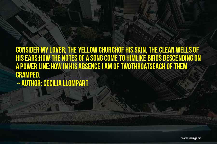 Cecilia Llompart Quotes: Consider My Lover; The Yellow Churchof His Skin, The Clean Wells Of His Ears;how The Notes Of A Song Come