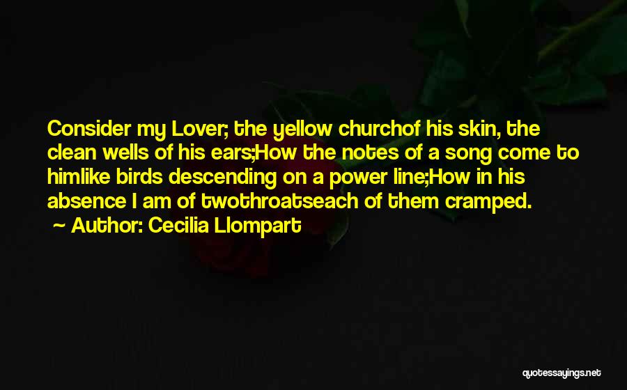 Cecilia Llompart Quotes: Consider My Lover; The Yellow Churchof His Skin, The Clean Wells Of His Ears;how The Notes Of A Song Come